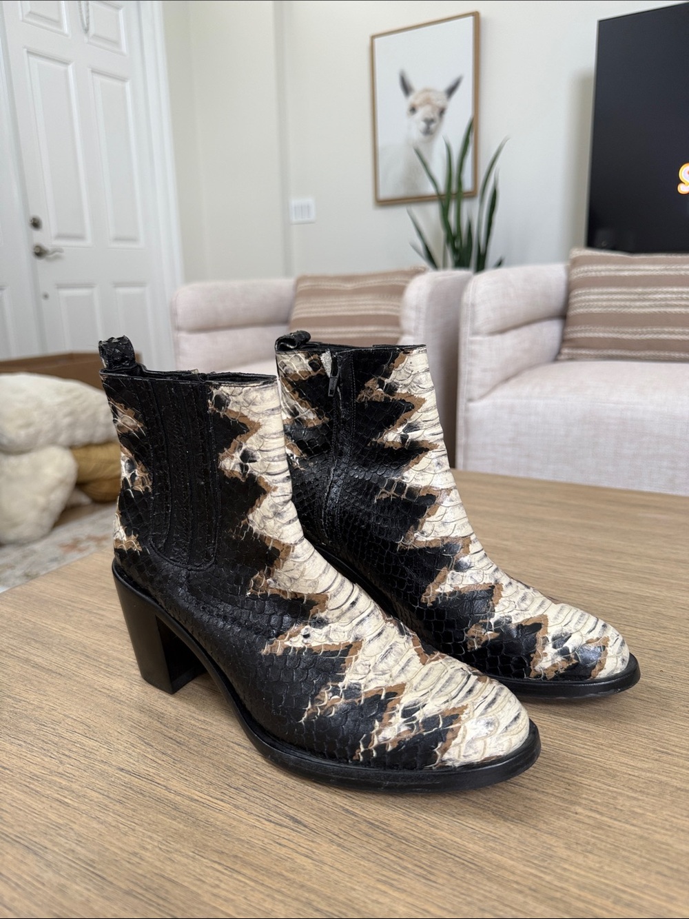 Salpy Snakeskin Ankle Boots in Black and Cream - Women